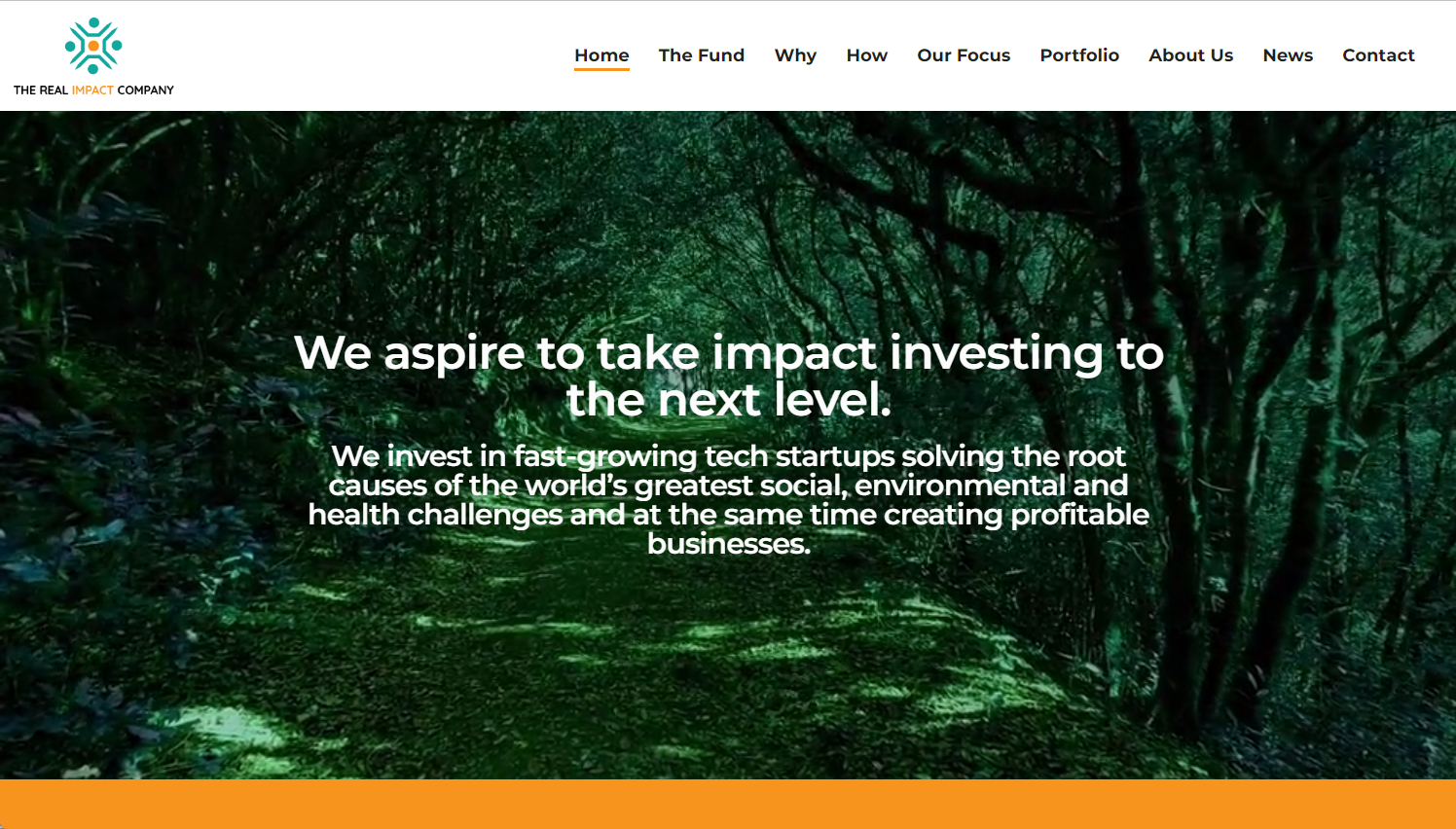 The Real Impact Company Website